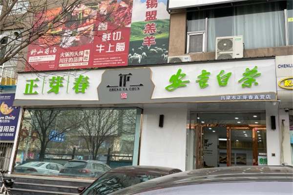 安吉白茶极白 安吉白茶极白