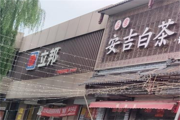 安吉白茶极白 安吉白茶极白