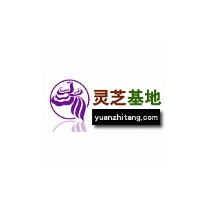 诚信爱车行品牌logo