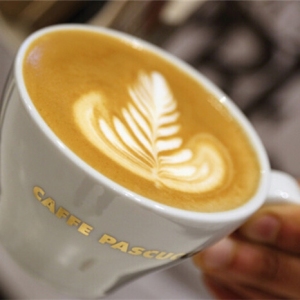 帕斯库奇咖啡品牌logo