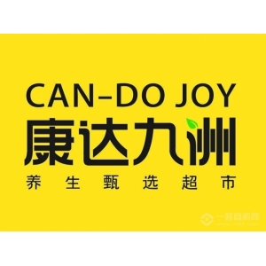 康达九洲品牌logo