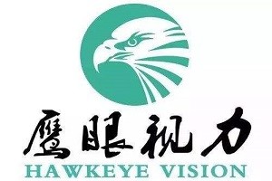 鹰眼视力品牌logo